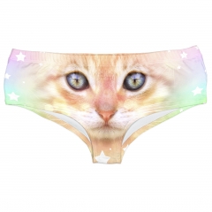 Horn panties cat