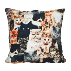 Pillow cats