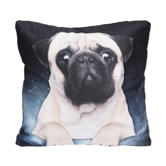 Pillow galaxy pug