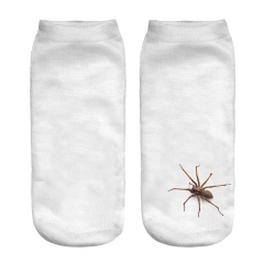 socks spider on sock wiz